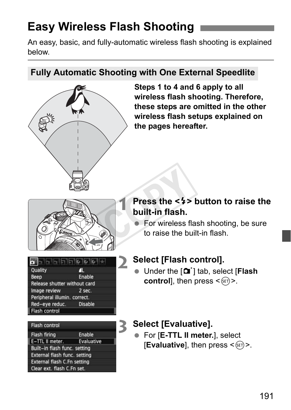 Cop y | Canon EOS Rebel T3i 18-55mm IS II Lens Kit User Manual | Page 191 / 324