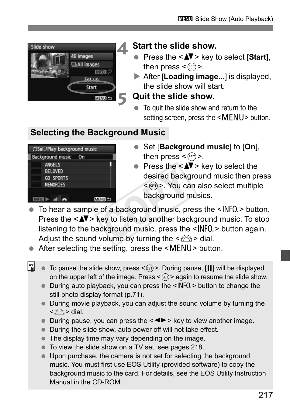 Cop y | Canon EOS Rebel T3i 18-55mm IS II Lens Kit User Manual | Page 217 / 324