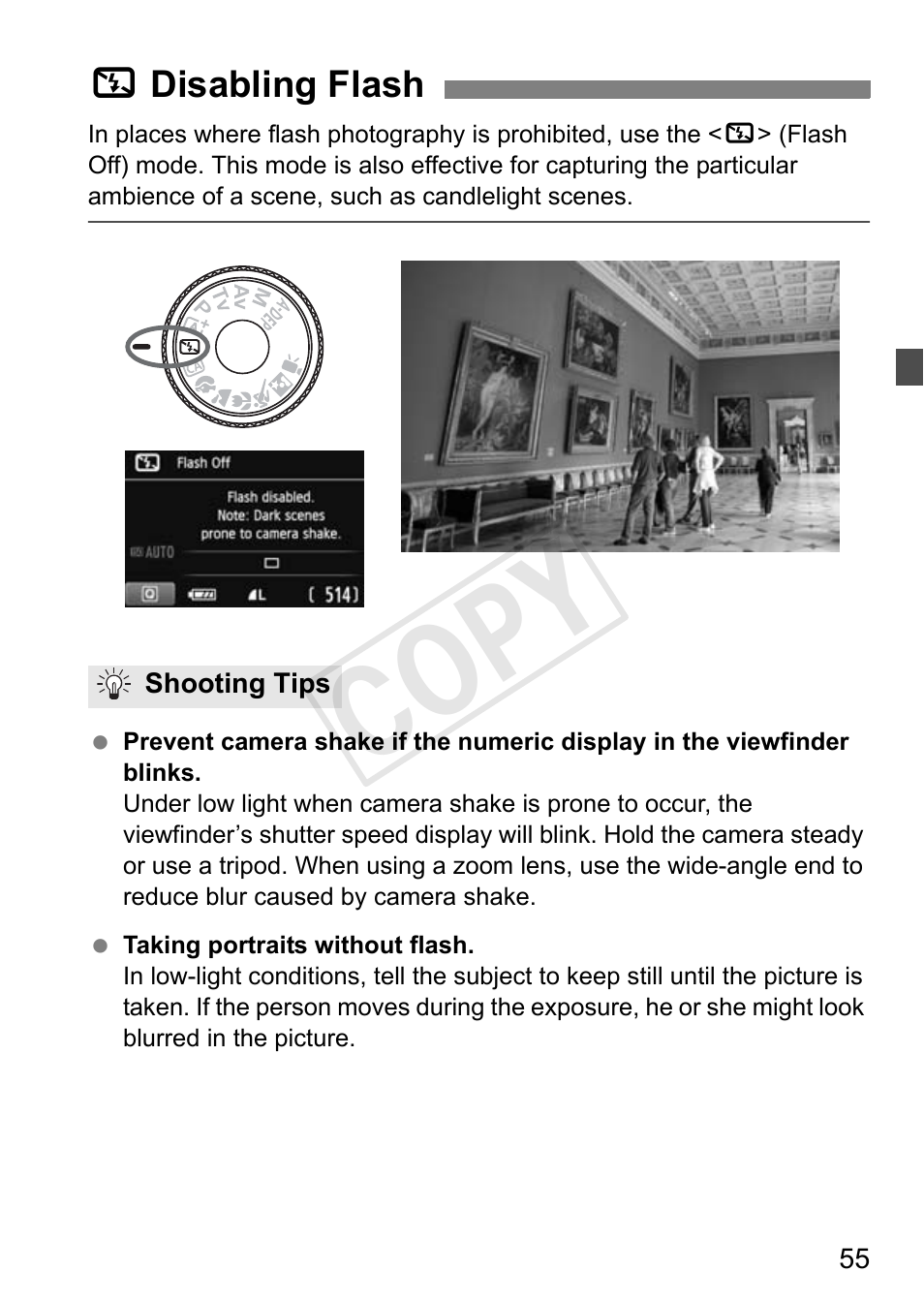 Cop y | Canon EOS Rebel T3i 18-55mm IS II Lens Kit User Manual | Page 55 / 324
