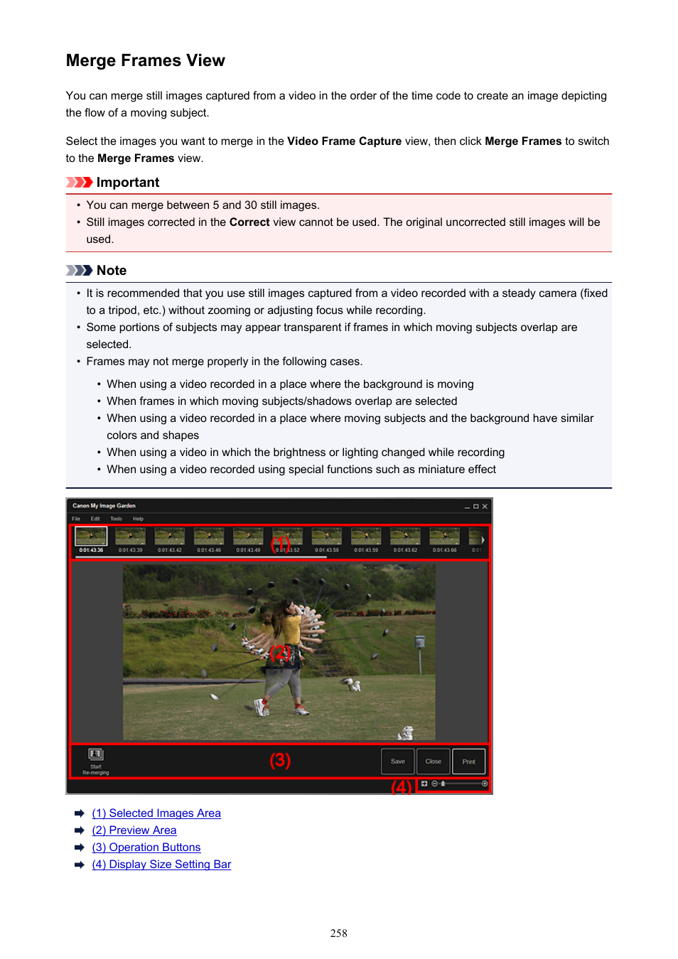 Merge frames view | Canon PIXMA Pro9000 Mark II User Manual | Page 258 / 303