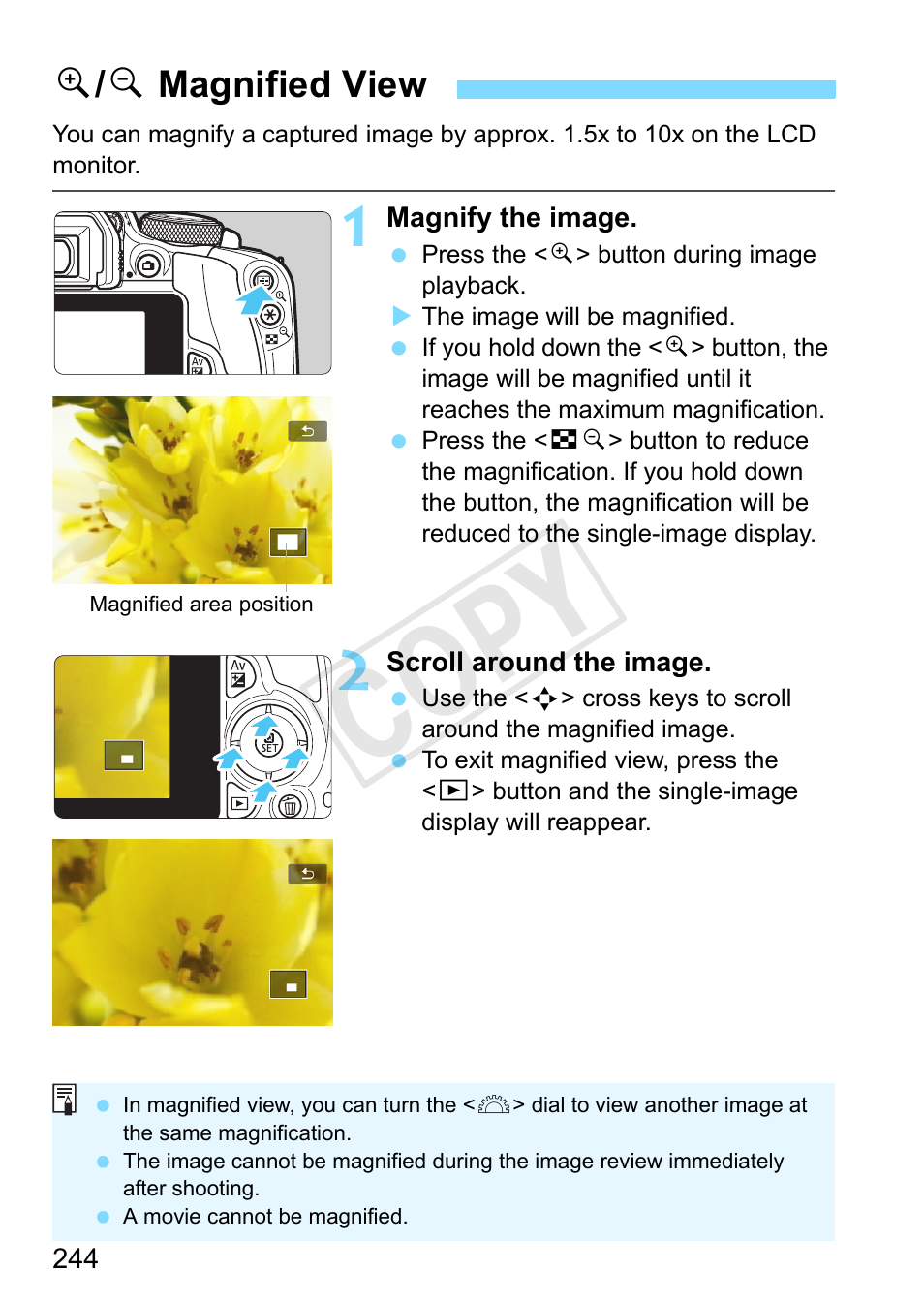 Magnified view, Y magnified view, Cop y | U/ y magnified view | Canon EOS Rebel SL1 18-55mm IS STM Lens Kit User Manual | Page 244 / 388