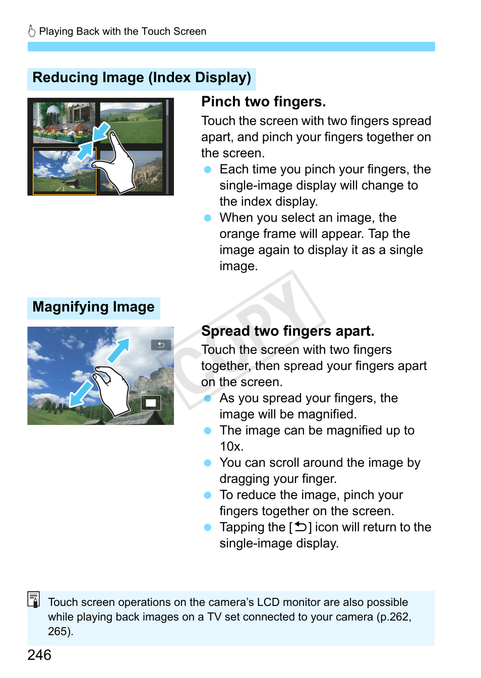 Cop y | Canon EOS Rebel SL1 18-55mm IS STM Lens Kit User Manual | Page 246 / 388
