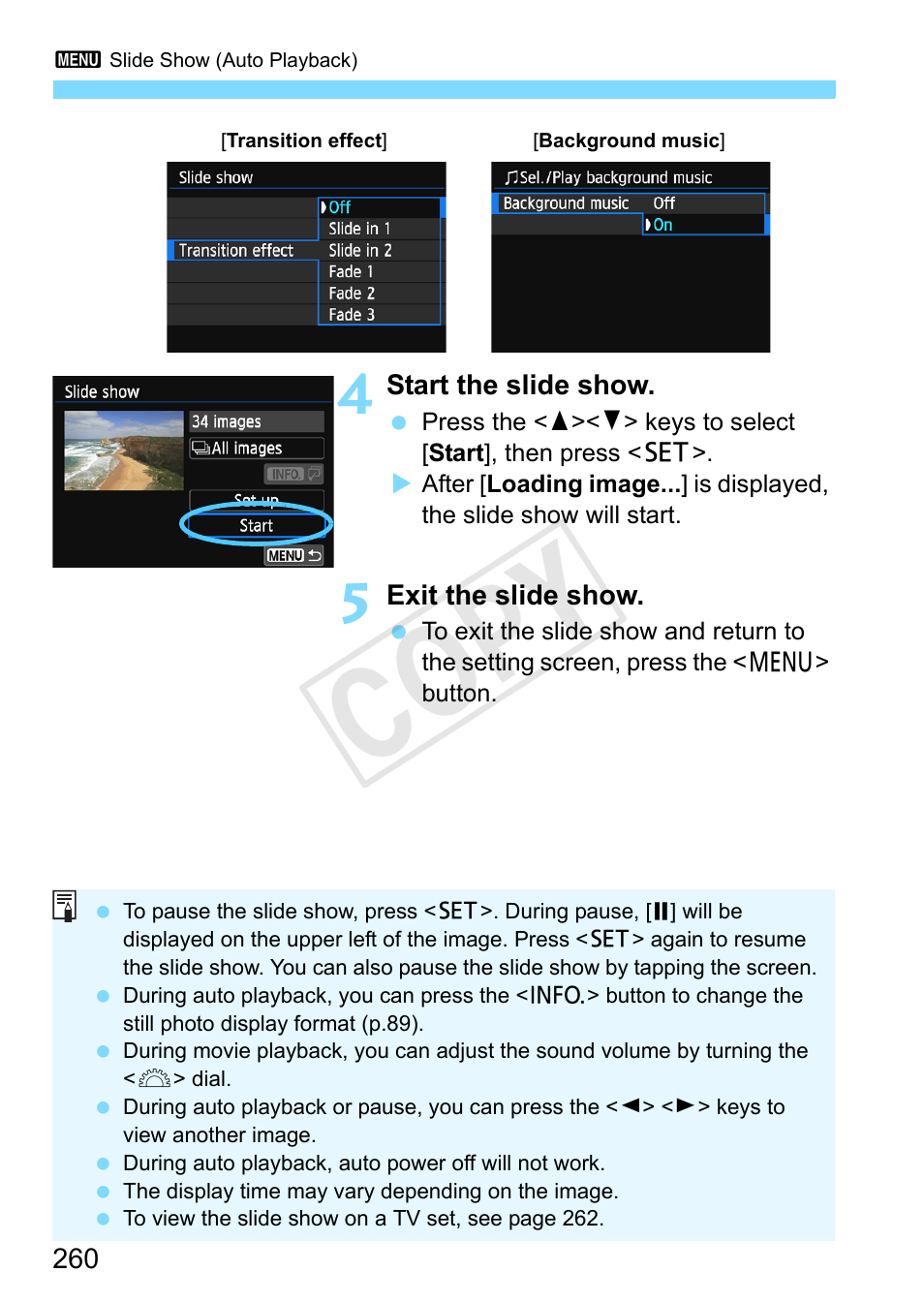 Cop y | Canon EOS Rebel SL1 18-55mm IS STM Lens Kit User Manual | Page 260 / 388