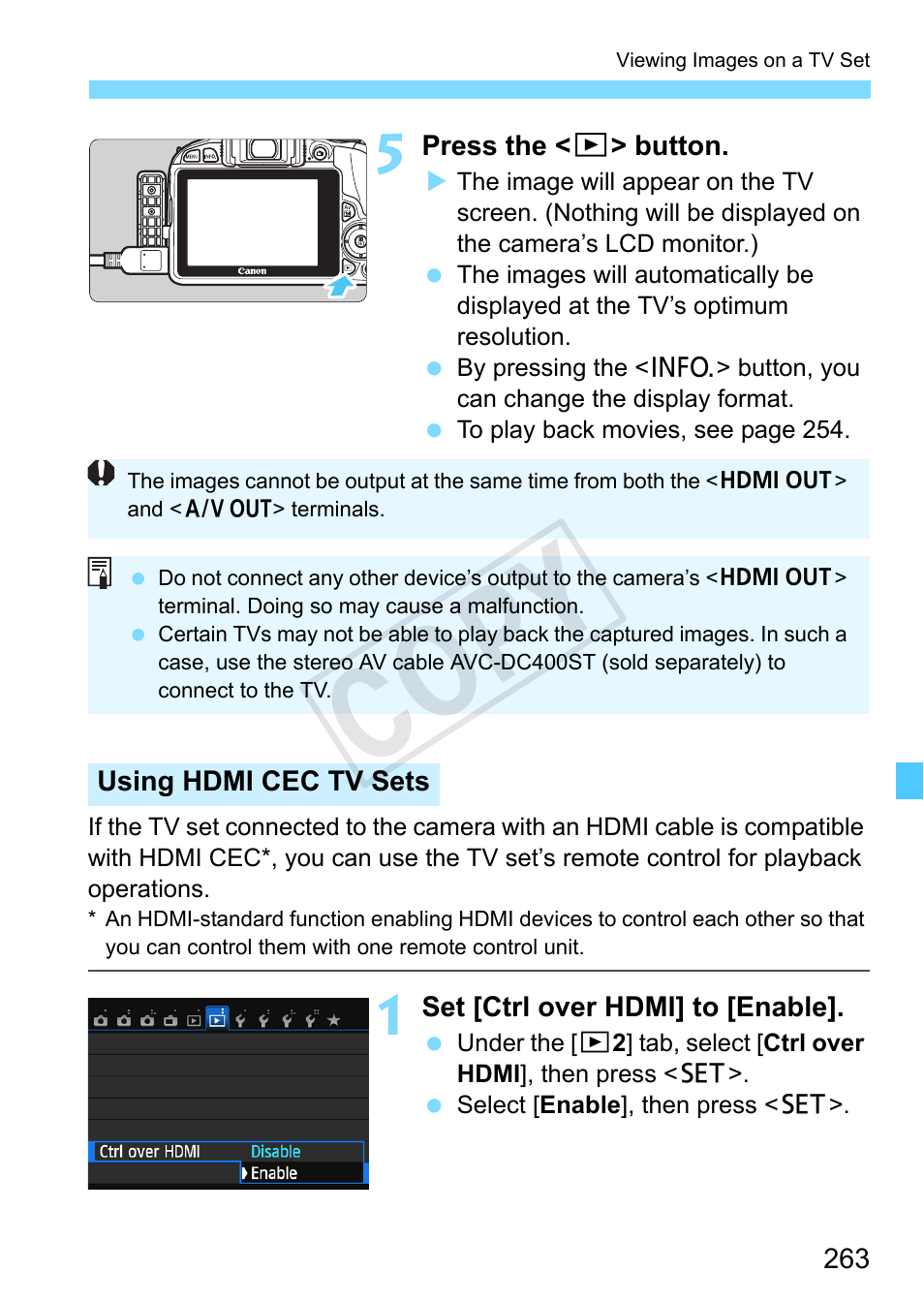 Cop y | Canon EOS Rebel SL1 18-55mm IS STM Lens Kit User Manual | Page 263 / 388