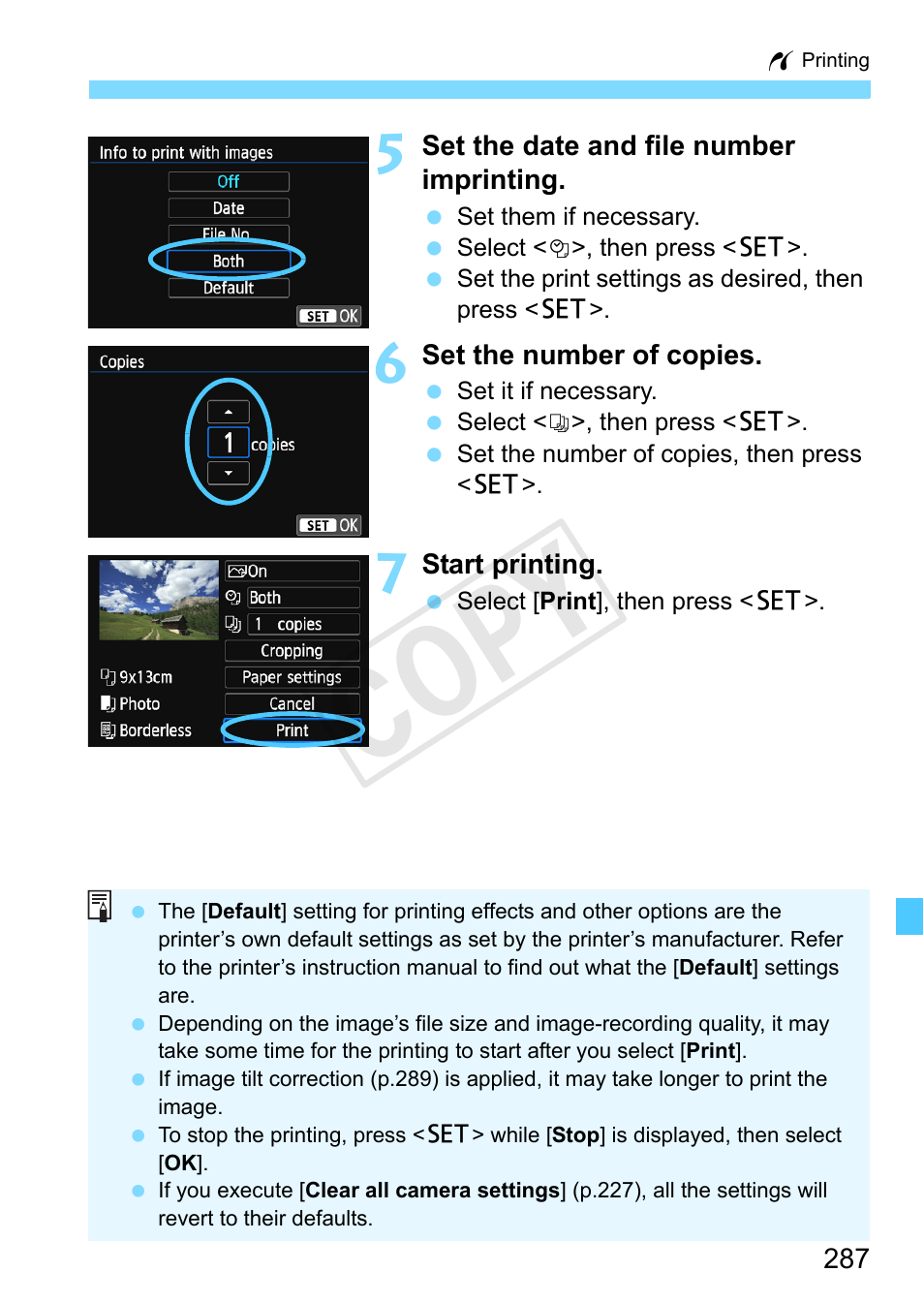 Cop y | Canon EOS Rebel SL1 18-55mm IS STM Lens Kit User Manual | Page 287 / 388