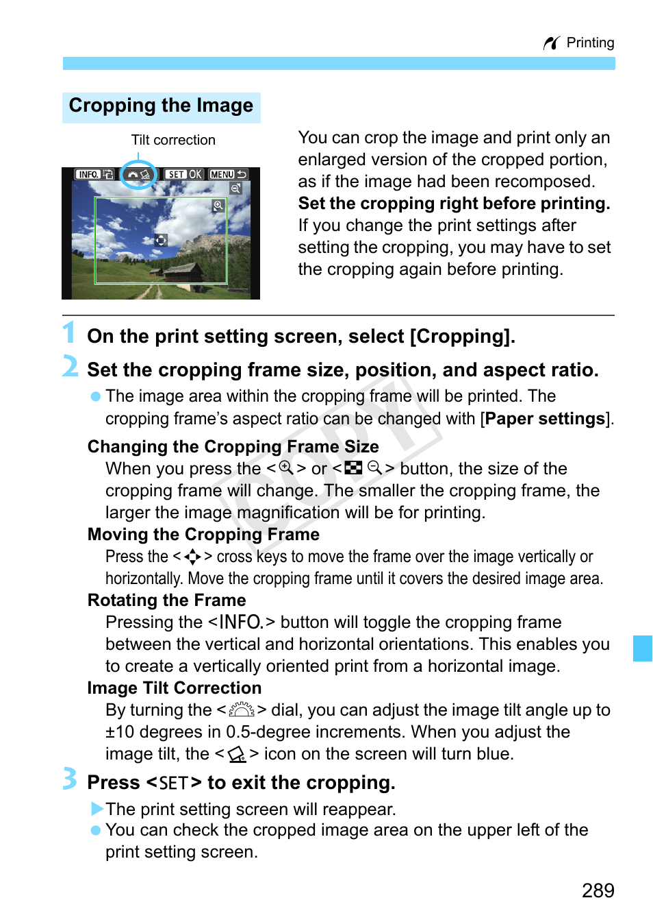 Cropping the image, Cop y | Canon EOS Rebel SL1 18-55mm IS STM Lens Kit User Manual | Page 289 / 388