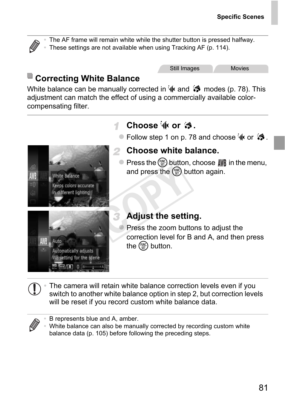Cop y | Canon PowerShot D20 User Manual | Page 81 / 218