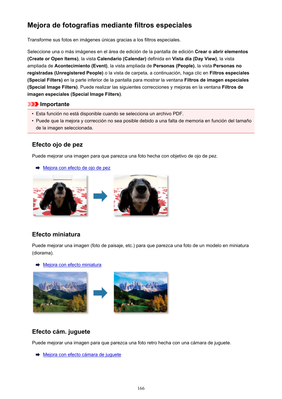 Mejora de fotografías mediante filtros especiales | Canon PIXMA PRO-1 User Manual | Page 166 / 320