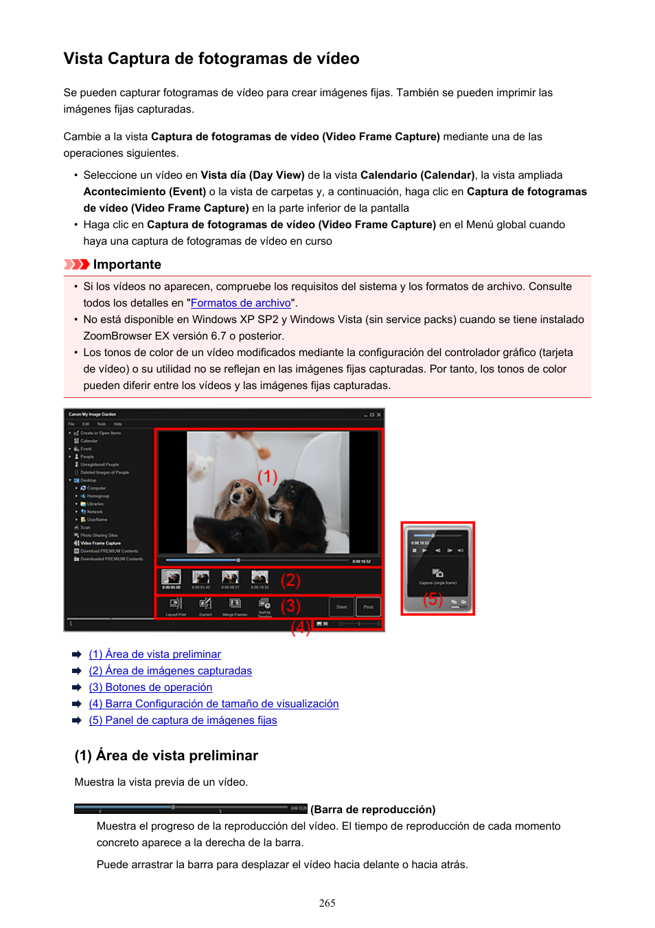 Vista captura de fotogramas de vídeo, Puede cambiar a la, En la que puede | Canon PIXMA PRO-1 User Manual | Page 265 / 320