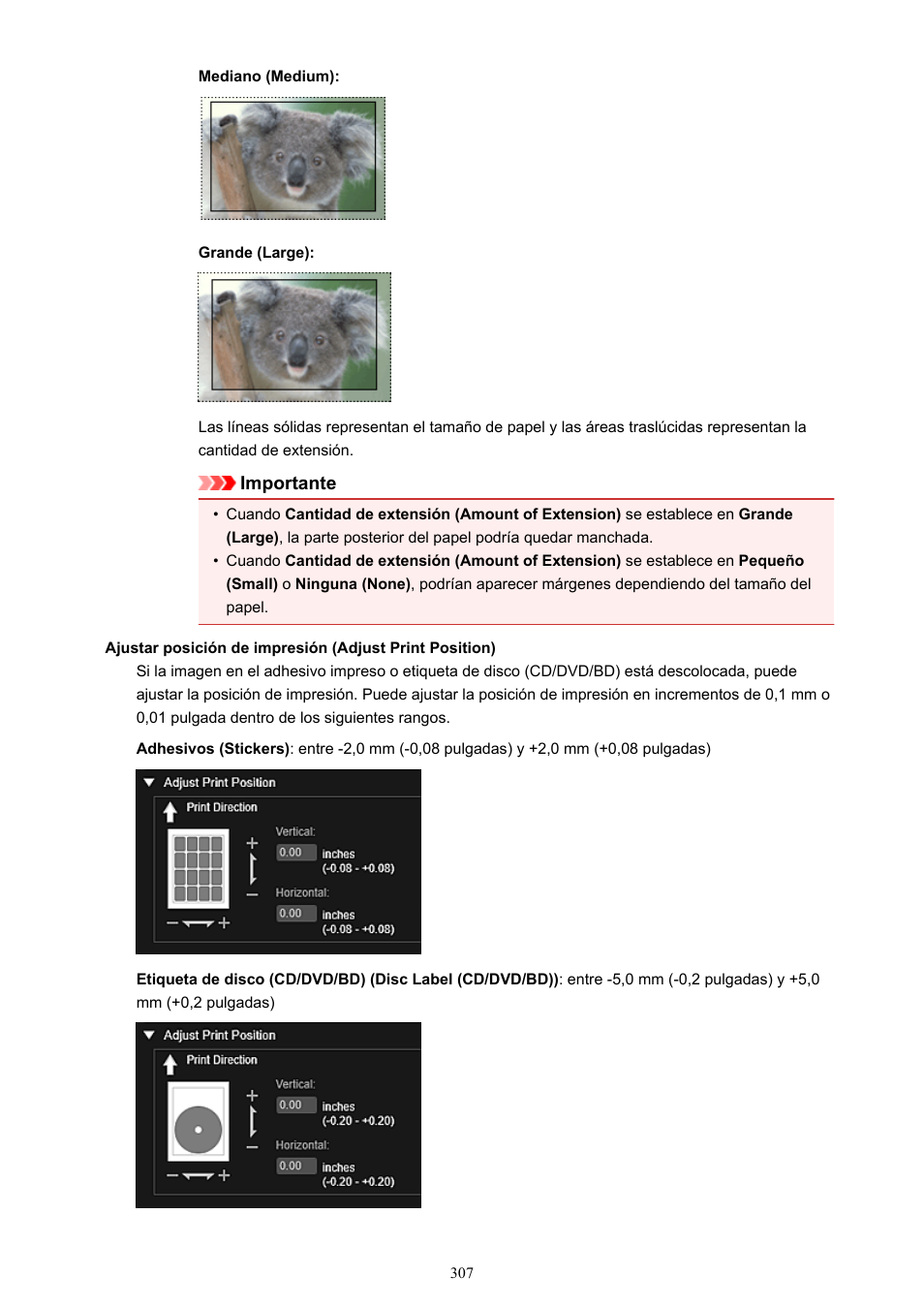 Canon PIXMA PRO-1 User Manual | Page 307 / 320