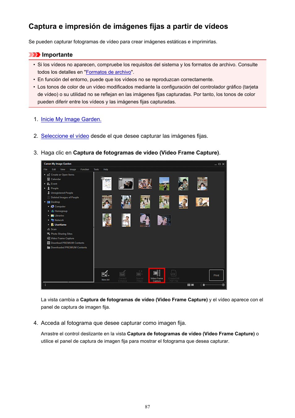 Consulte | Canon PIXMA PRO-1 User Manual | Page 87 / 320