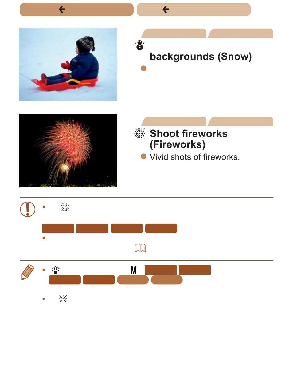P shoot with snowy backgrounds (snow), T shoot fireworks (fireworks) | Canon PowerShot ELPH 135 User Manual | Page 72 / 222
