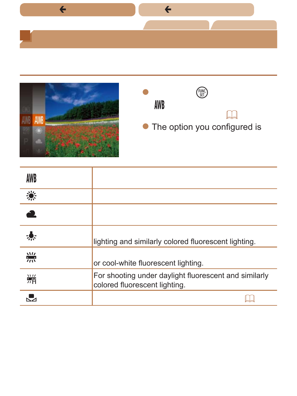 Adjusting white balance | Canon PowerShot ELPH 135 User Manual | Page 91 / 222