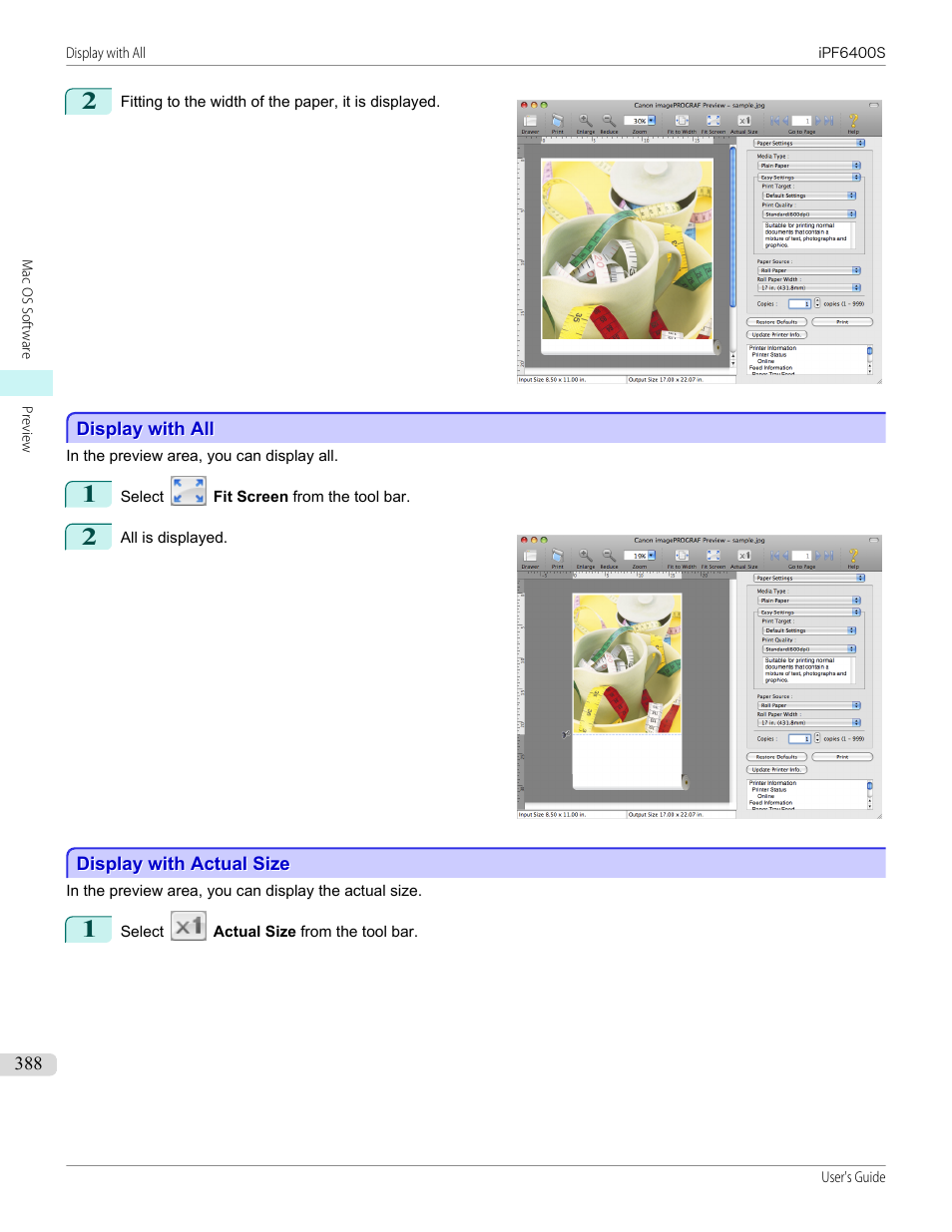 Display with all, Display with actual size, Display with all display with actual size | Canon imagePROGRAF iPF6400S User Manual | Page 388 / 1022