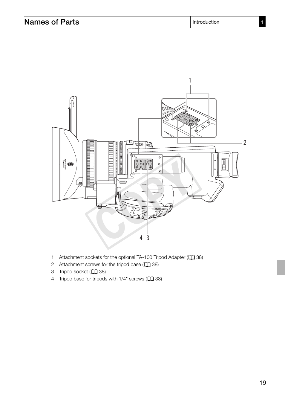 Cop y | Canon XF305 User Manual | Page 19 / 217