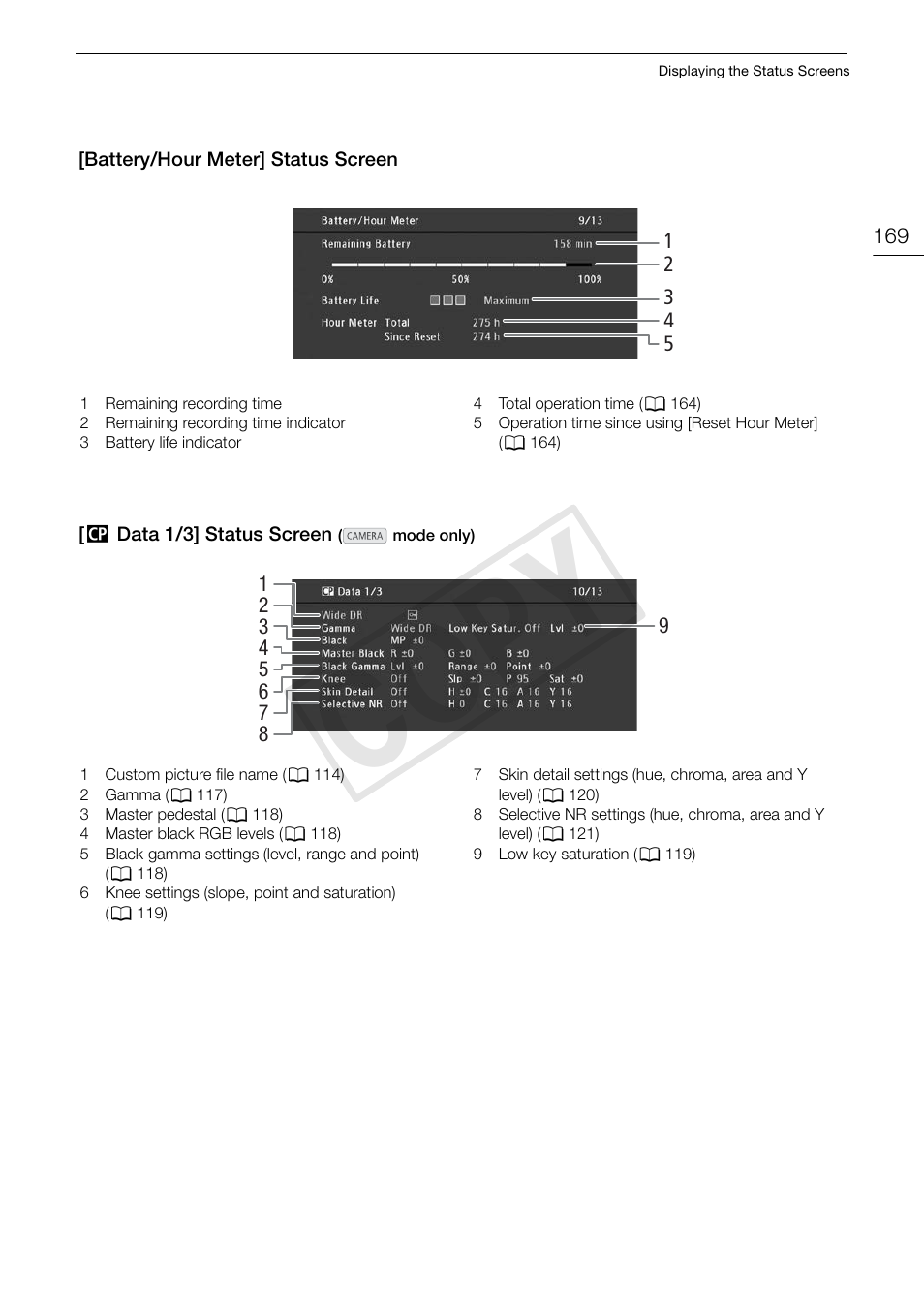 Cop y | Canon EOS C300 PL User Manual | Page 169 / 196