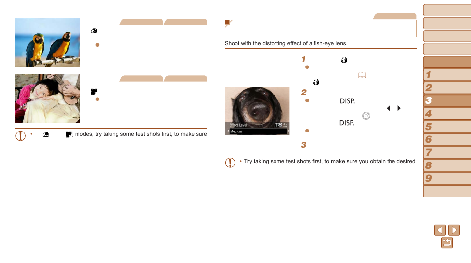 Canon PowerShot SX170 IS User Manual | Page 46 / 135