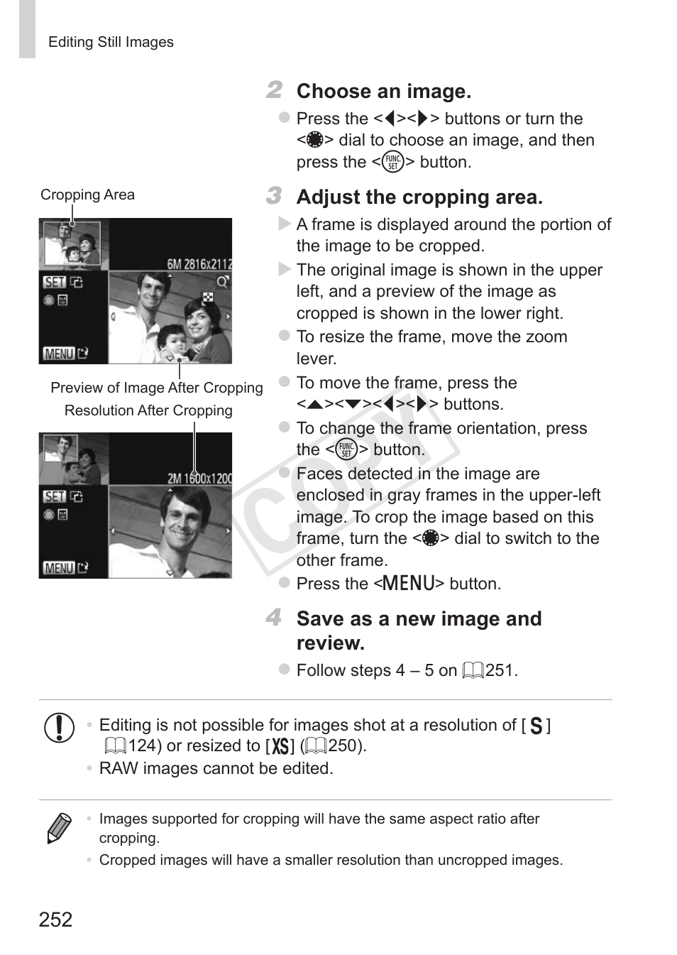 Cop y | Canon PowerShot S110 User Manual | Page 252 / 346