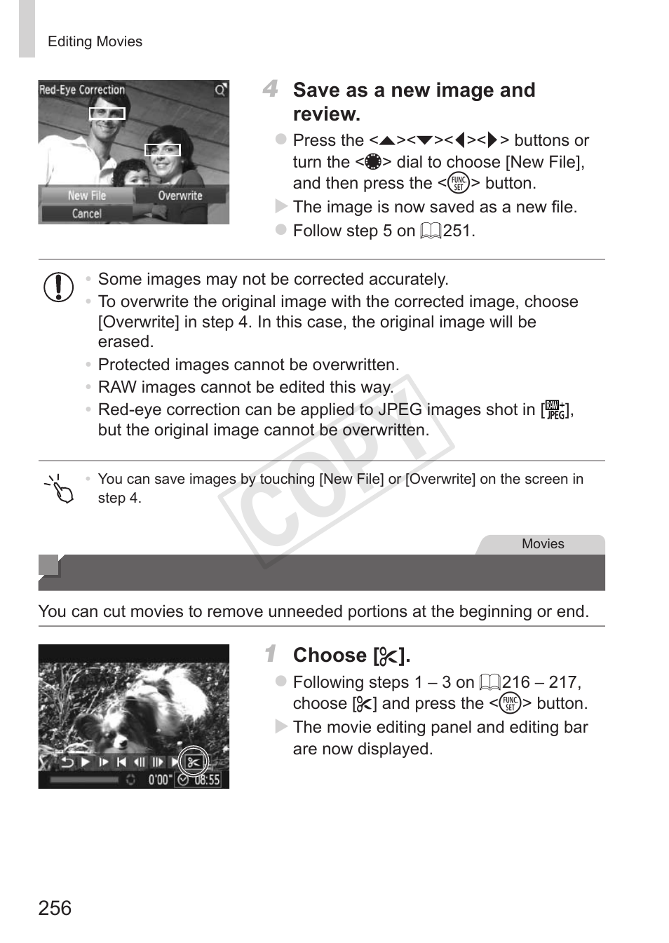 Editing movies, Cop y | Canon PowerShot S110 User Manual | Page 256 / 346