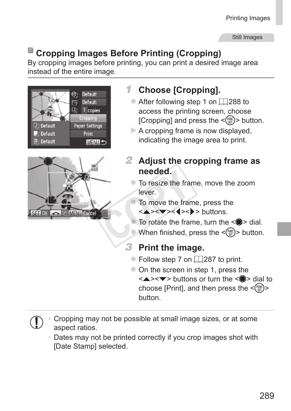 Cop y | Canon PowerShot S110 User Manual | Page 289 / 346