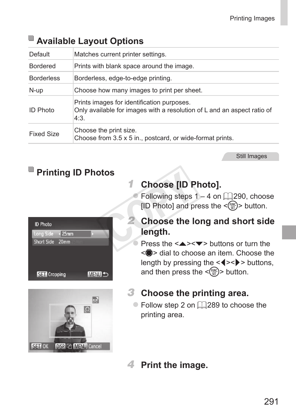 Cop y | Canon PowerShot S110 User Manual | Page 291 / 346