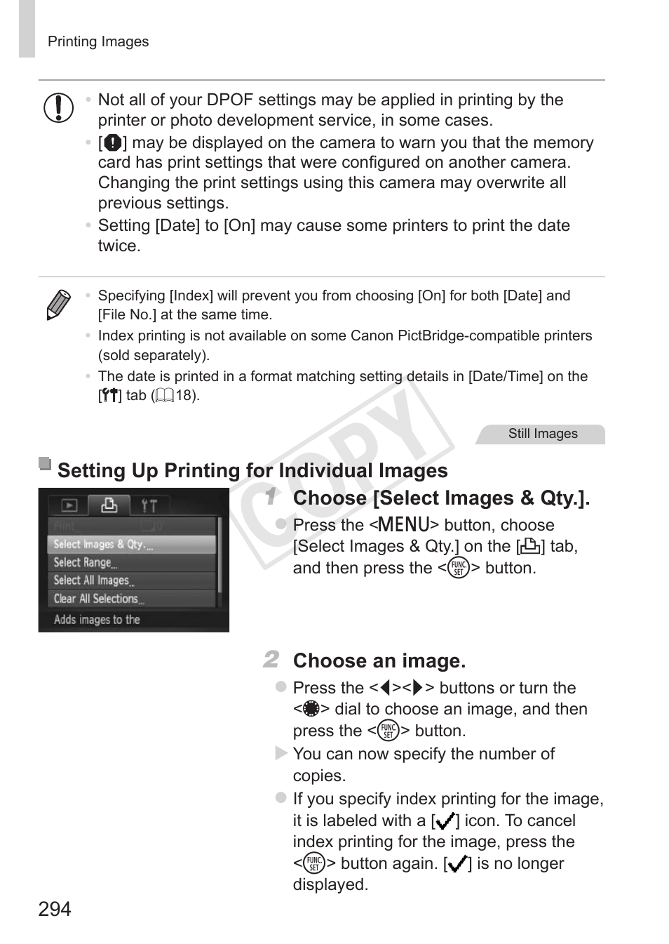 Cop y | Canon PowerShot S110 User Manual | Page 294 / 346