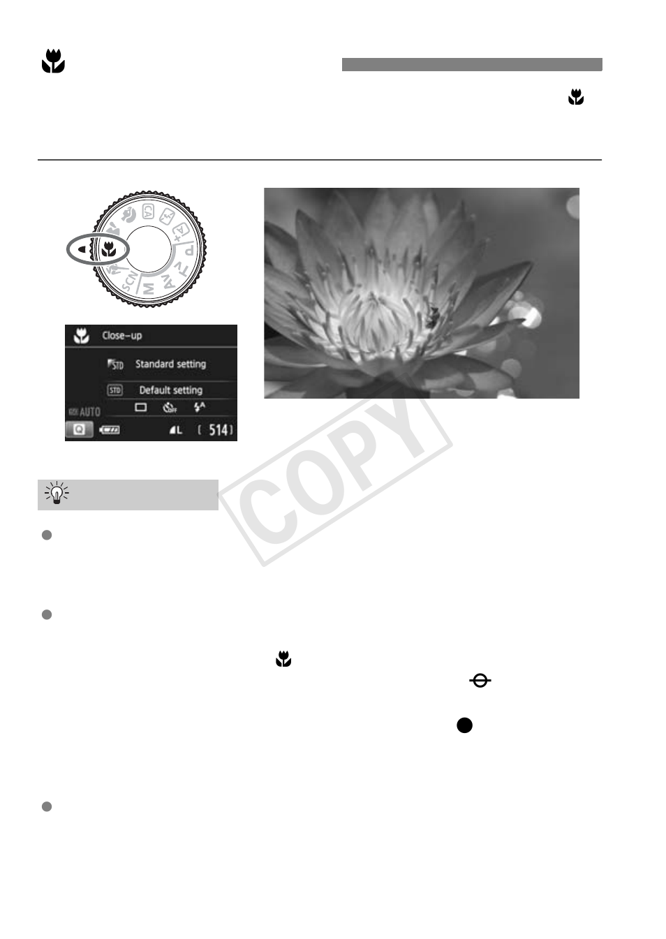4 shooting close-ups, Cop y | Canon EOS Rebel SL1 18-55mm IS STM Lens Kit User Manual | Page 60 / 116