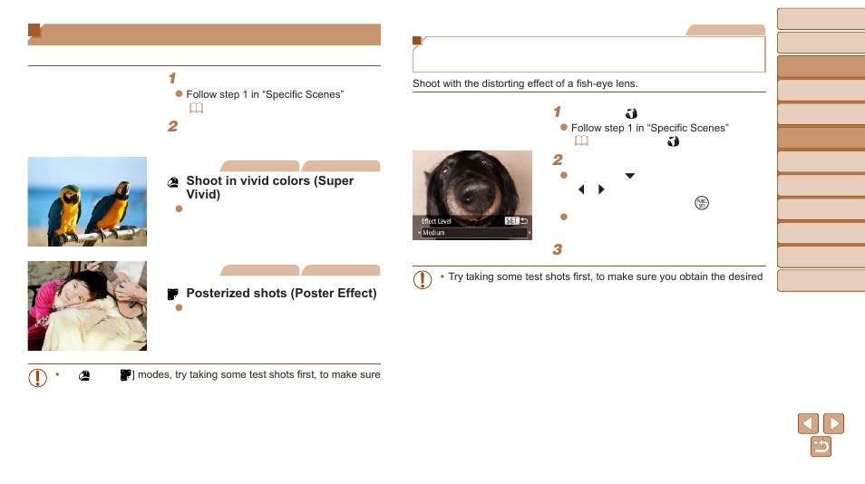 Applying special effects | Canon PowerShot ELPH 135 User Manual | Page 42 / 119