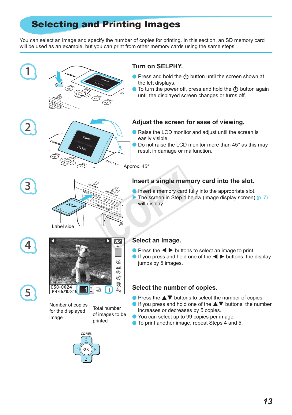 Cop y, Selecting and printing images | Canon SELPHY CP800 Black User Manual | Page 14 / 73