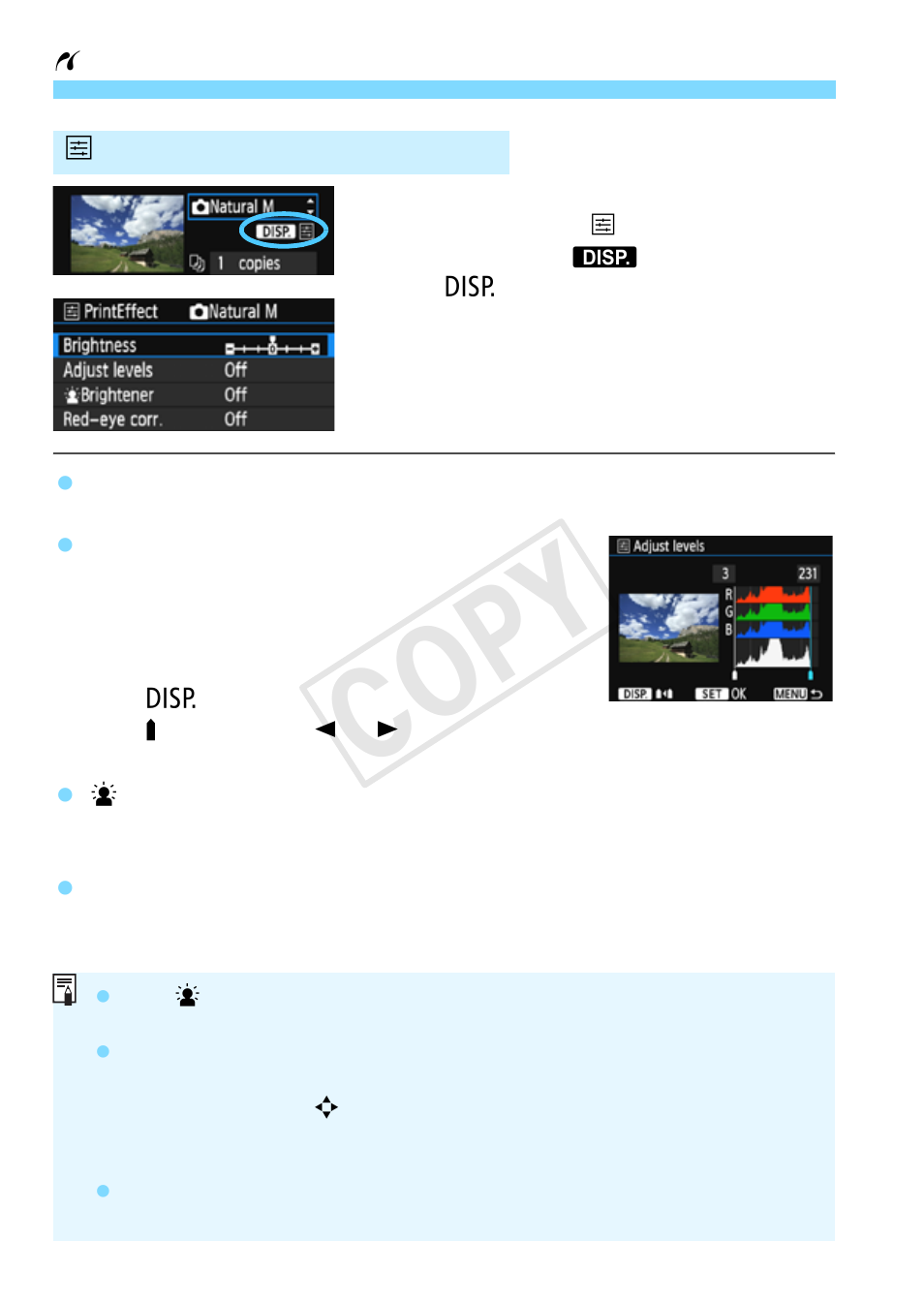 Cop y | Canon EOS Rebel T5 18-55 IS II Kit User Manual | Page 246 / 342