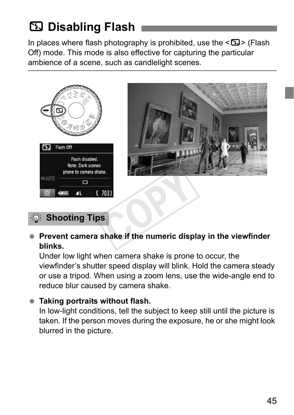Cop y | Canon EOS Rebel T3 18-55mm IS II Lens Kit User Manual | Page 45 / 84