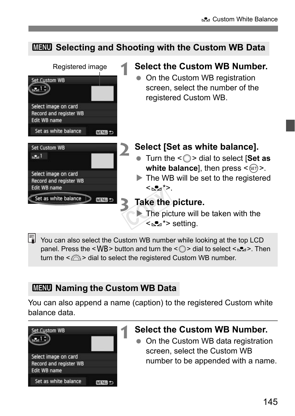 Cop y | Canon EOS-1D C User Manual | Page 145 / 420