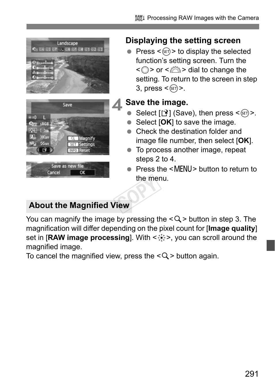 Cop y | Canon EOS-1D C User Manual | Page 291 / 420