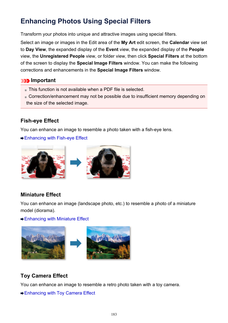 Enhancing photos using special filters | Canon PIXMA MG2440 User Manual | Page 183 / 335