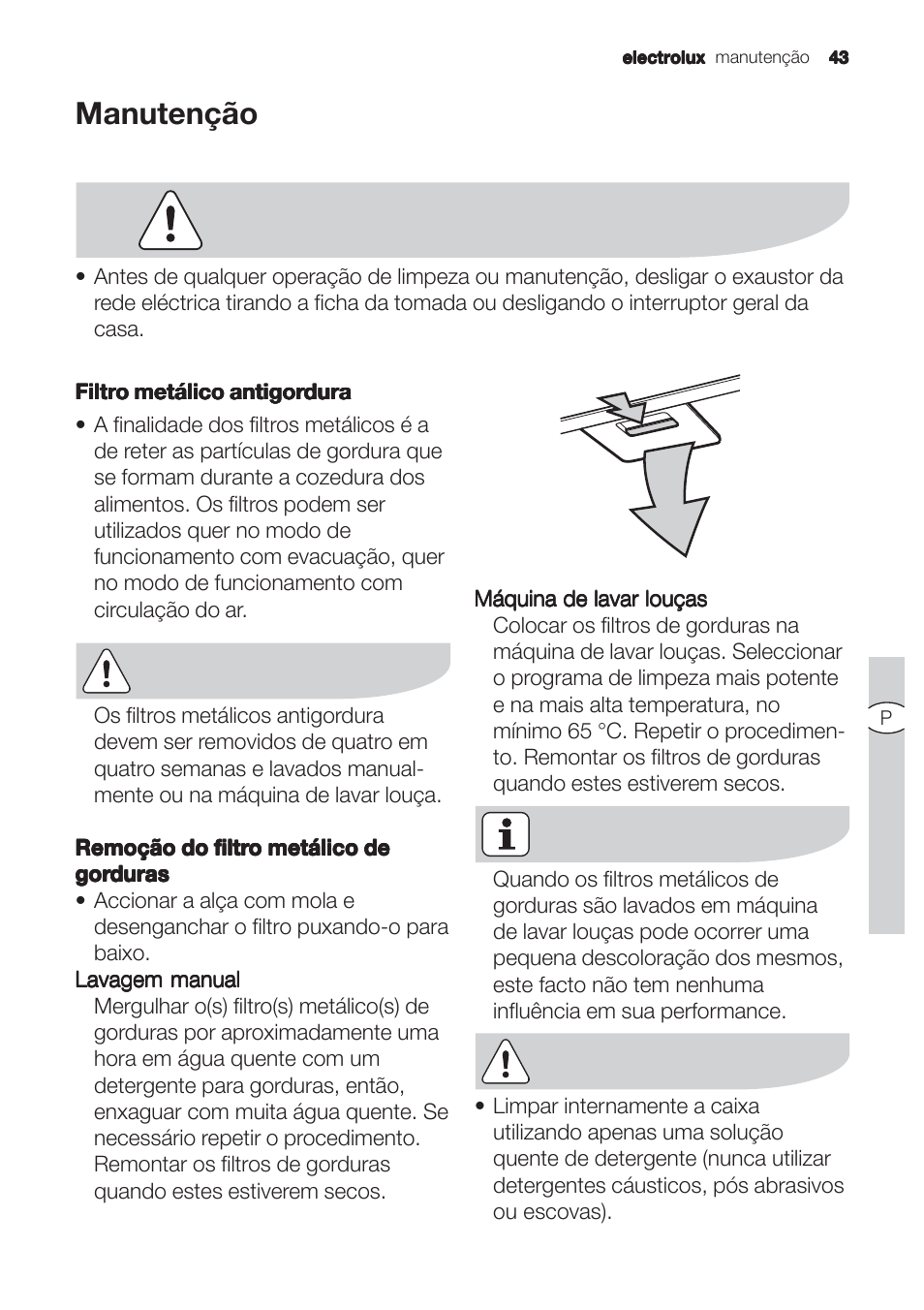 Manutenção | Electrolux EFC90244X User Manual | Page 43 / 56