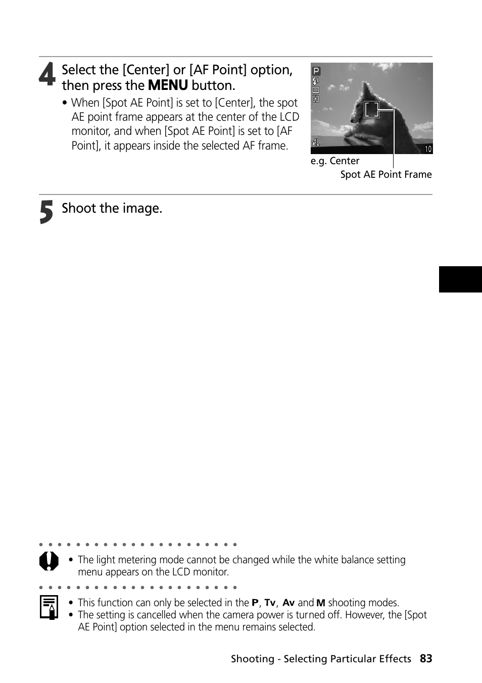 Shoot the image, Shooting - selecting particular effects, Spot ae point frame | E.g. center | Canon PowerShot S30 User Manual | Page 85 / 163