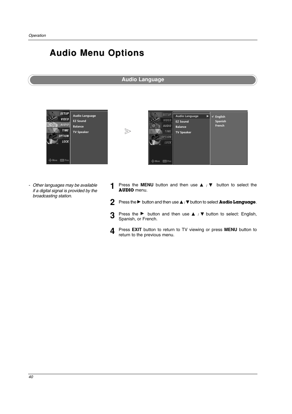 Audio menu options, Audio language | LG 42PC3DV-UE User Manual | Page 40 / 68