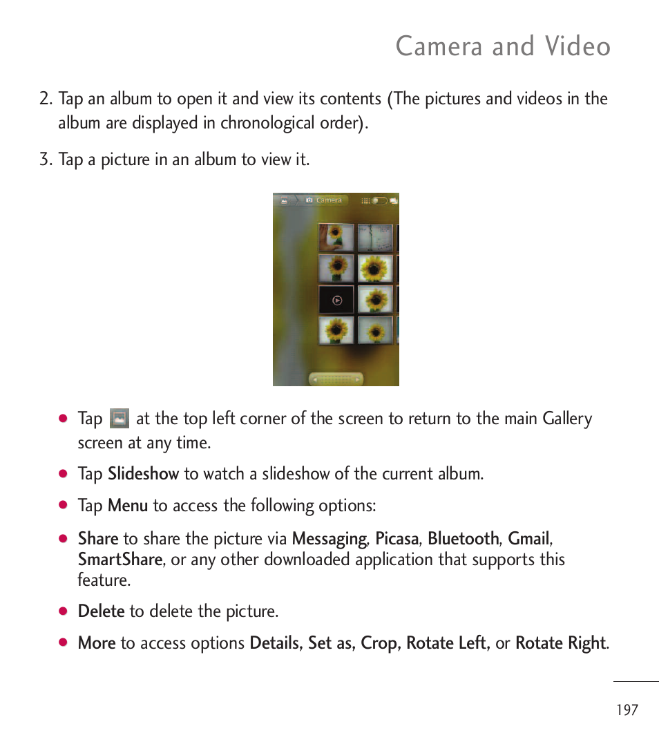 Camera and video, Tap menu to access the following options, Delete to delete the picture | LG LGL85C User Manual | Page 199 / 490