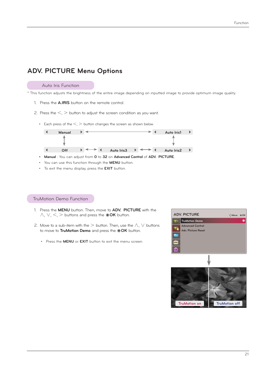 Adv. picture menu options, Auto iris function, Trumotion demo function | LG CF181D User Manual | Page 21 / 36