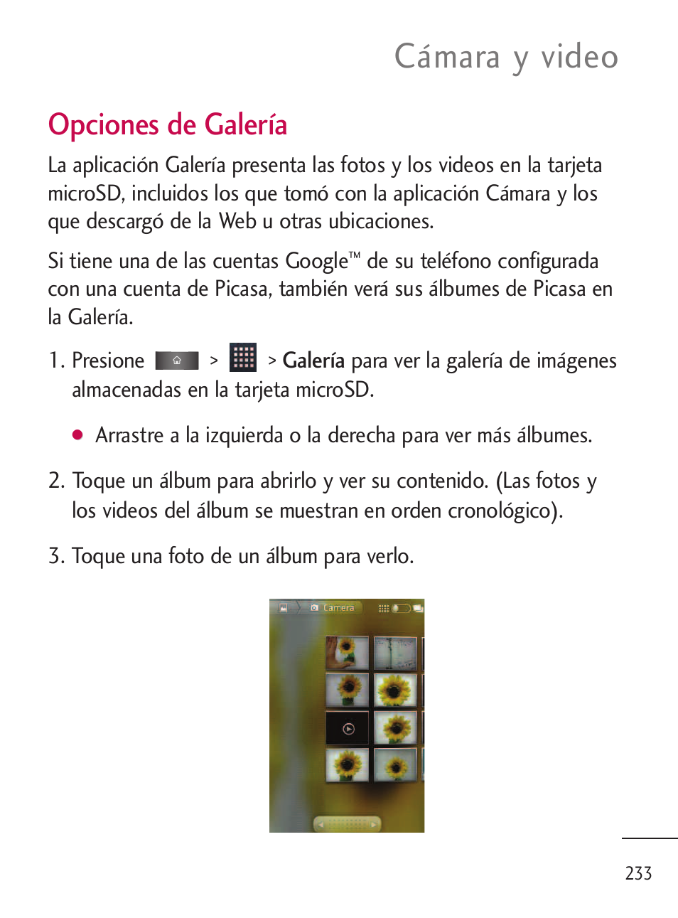 Cámara y video, Opciones de galería | LG LGL45C User Manual | Page 491 / 546