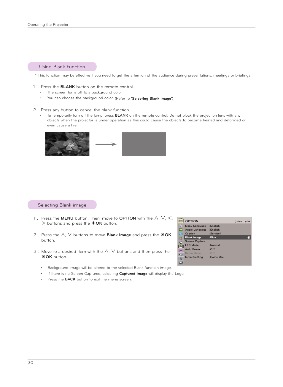 Using blank function, Selecting blank image | LG HX350T User Manual | Page 30 / 54