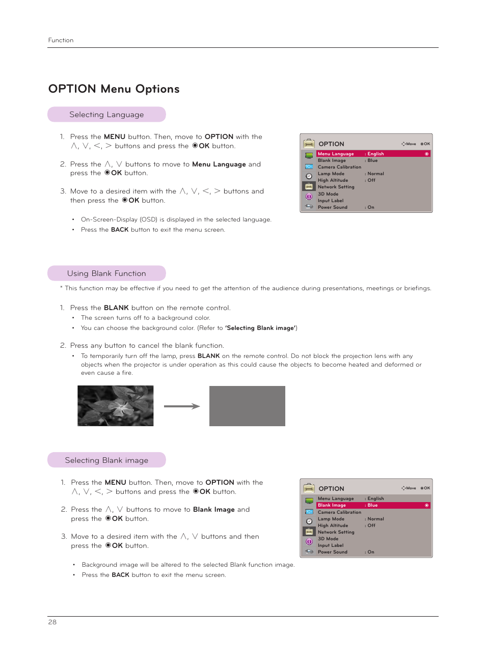 Option menu options, Selecting language, Using blank function | Selecting blank image | LG CF3D User Manual | Page 28 / 40