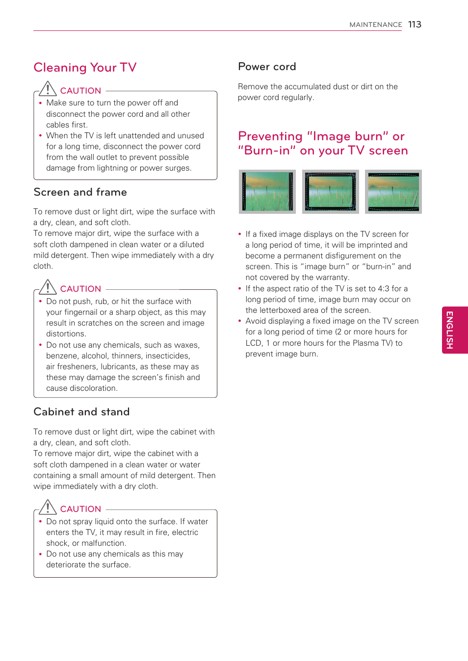 Cleaning your tv, Screen and frame, Cabinet and stand | Power cord, Your tv screen | LG 47LV5500 User Manual | Page 113 / 166