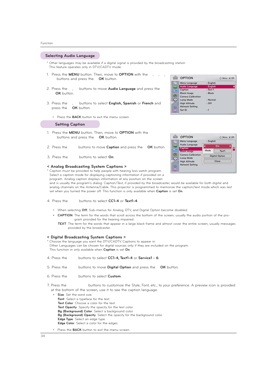 Selecting audio language, Setting caption, Analog broadcasting system captions | Digital broadcasting system captions | LG CF3DAT User Manual | Page 34 / 60