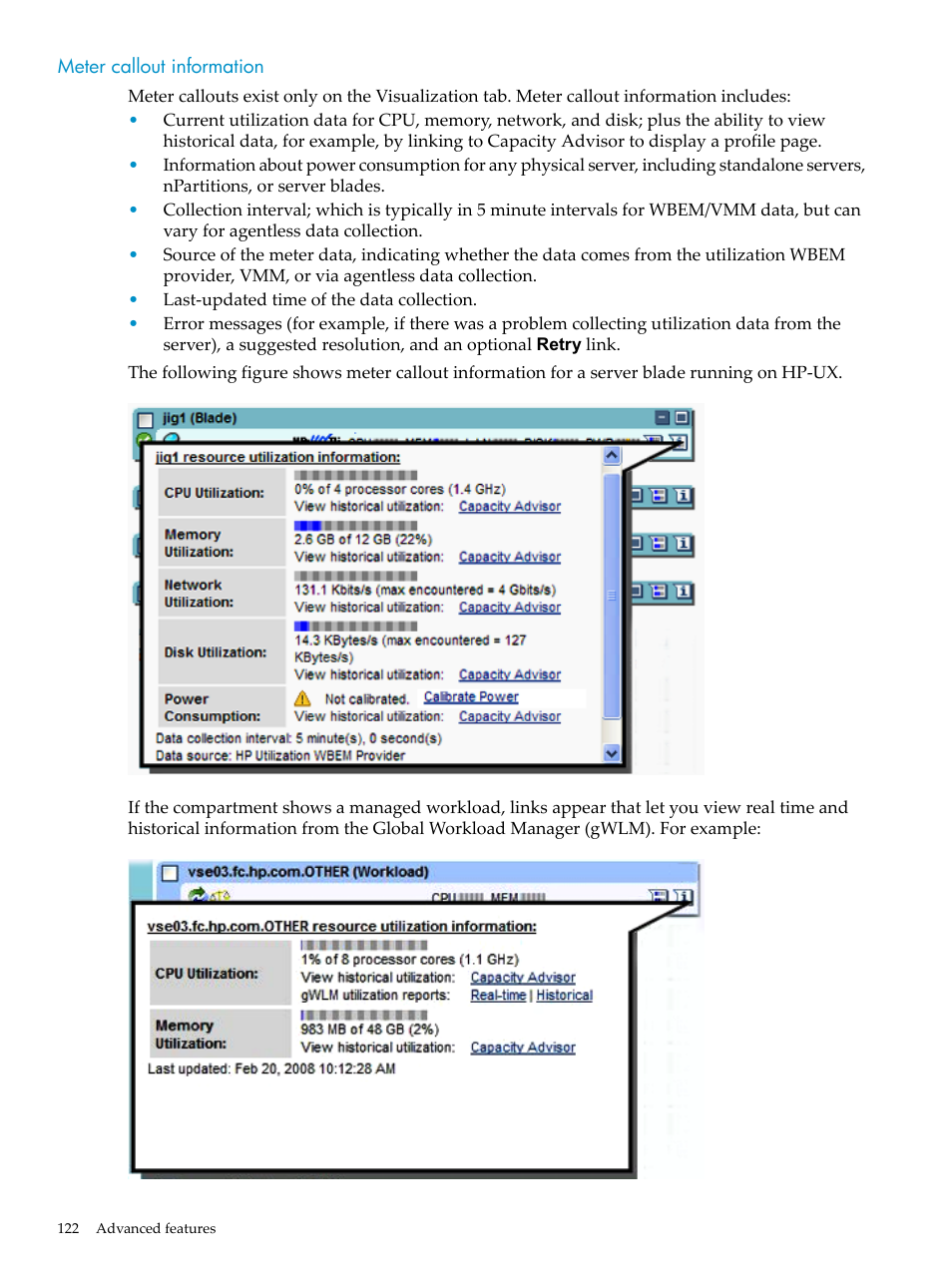 Meter callout information, Meter | HP Matrix Operating Environment Software User Manual | Page 122 / 132