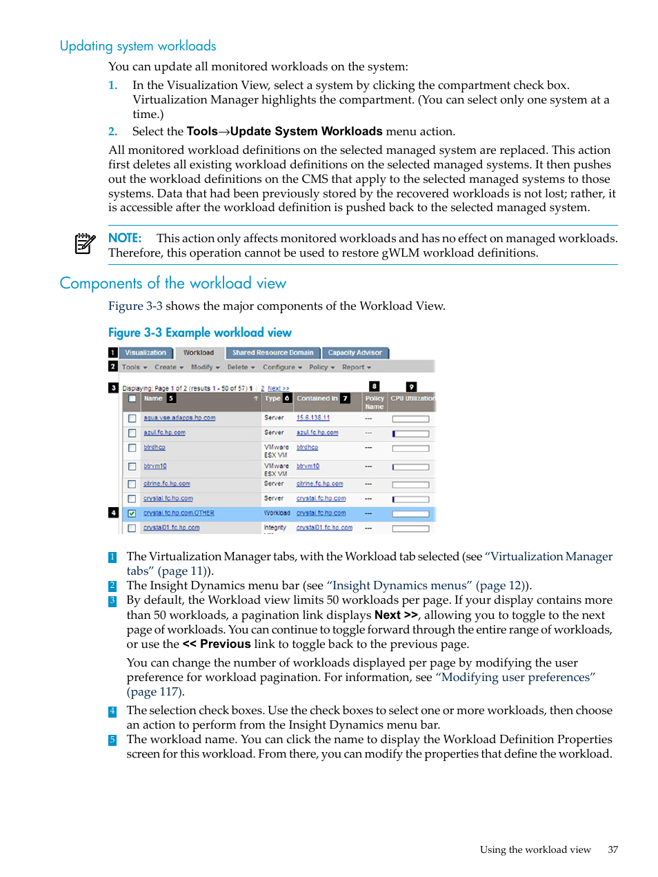 Updating system workloads, Components of the workload view, Example workload view | HP Matrix Operating Environment Software User Manual | Page 37 / 132