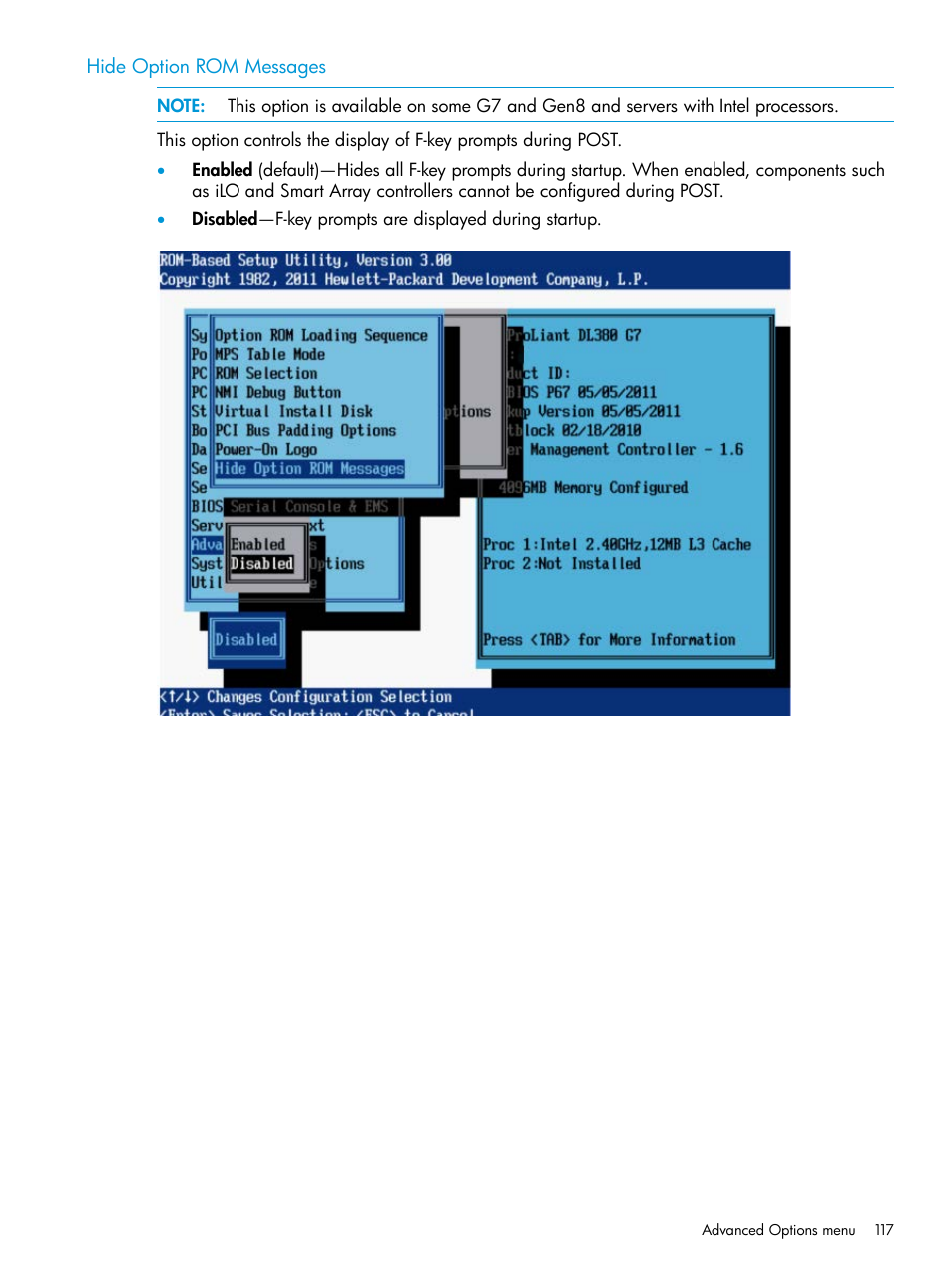 Hide option rom messages | HP ROM-Based Setup Utility User Manual | Page 117 / 221