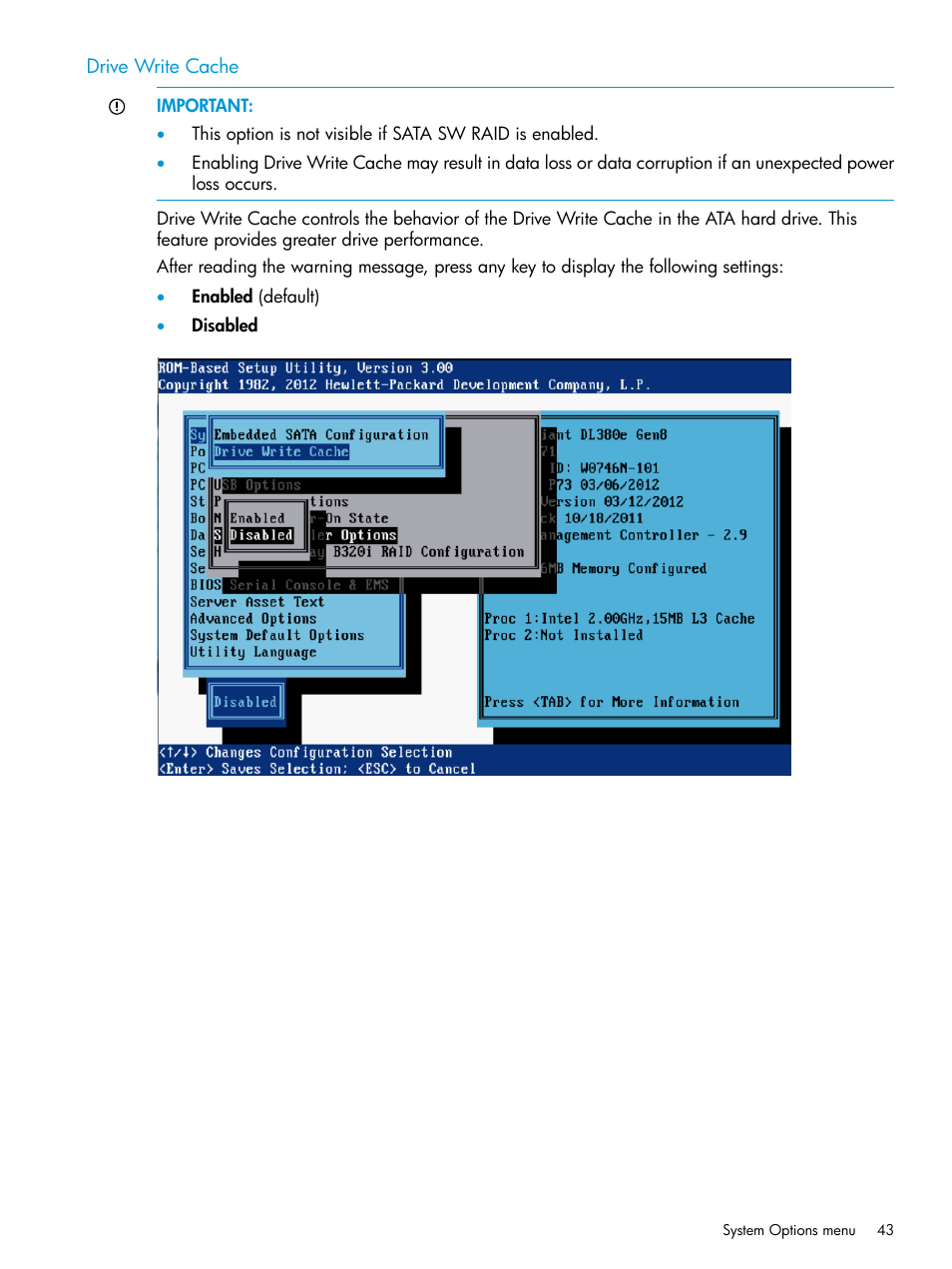 Drive write cache | HP ROM-Based Setup Utility User Manual | Page 43 / 221