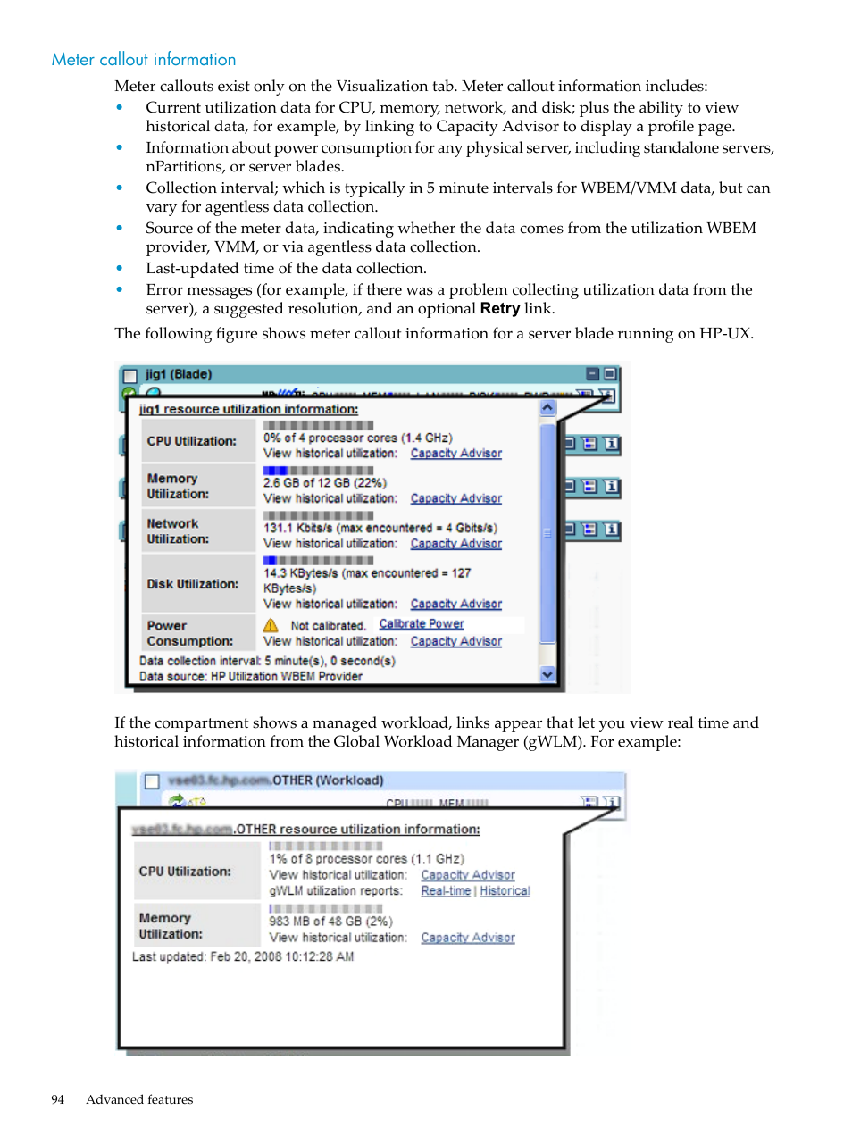 Meter callout information, Meter | HP Matrix Operating Environment Software User Manual | Page 94 / 104