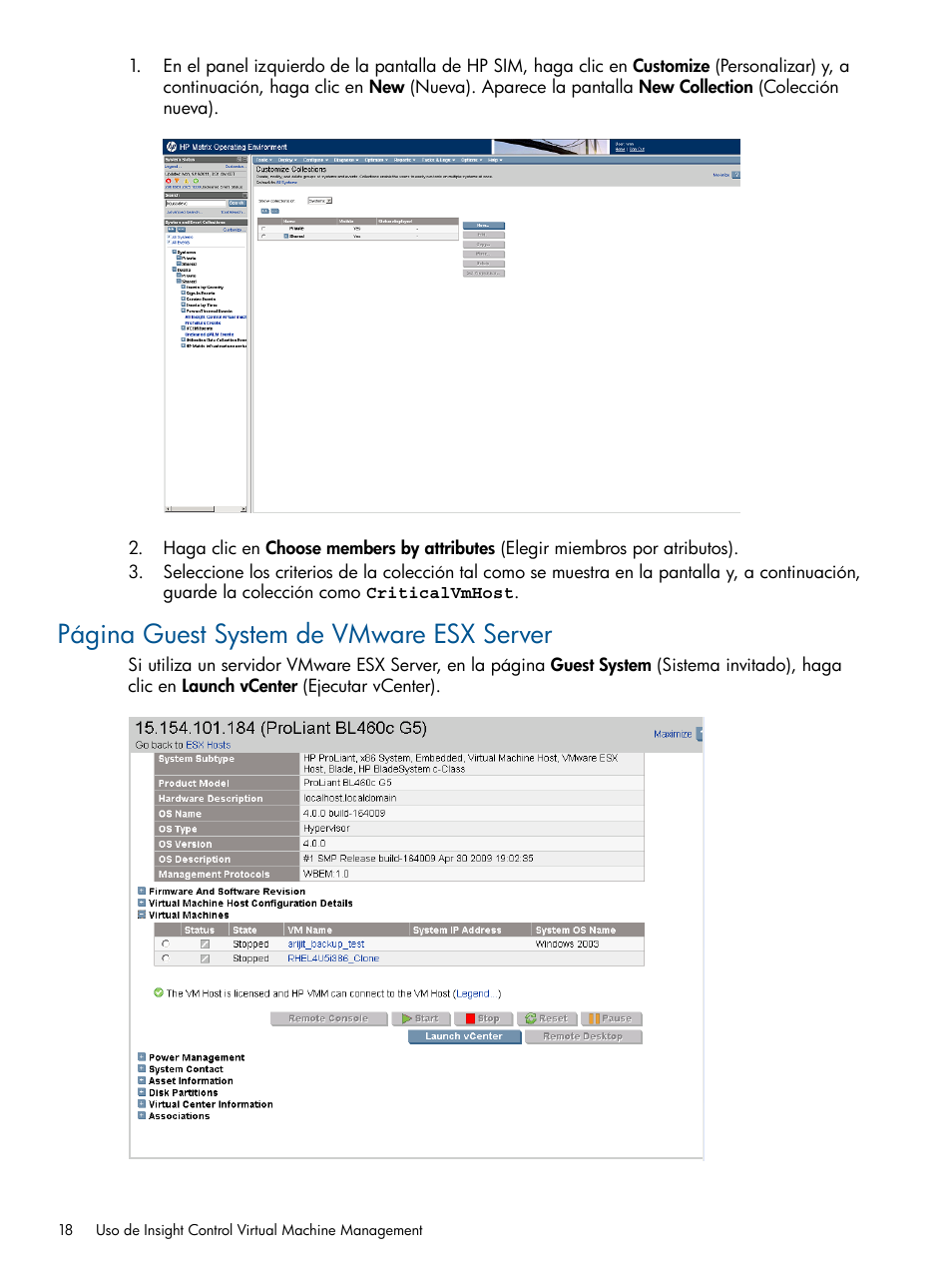 Página guest system de vmware esx server | HP Software HP Insight Control para Linux User Manual | Page 18 / 60